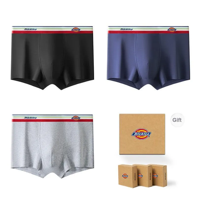 Dickies Underpants Men's Gift Box Combination-54