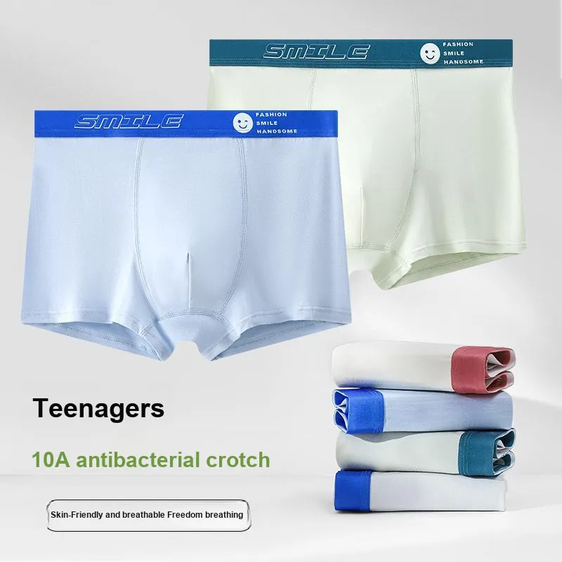 Herbal Primer Underpants Men's 4 Pack-13