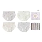 Box 4 Pack (Purple)