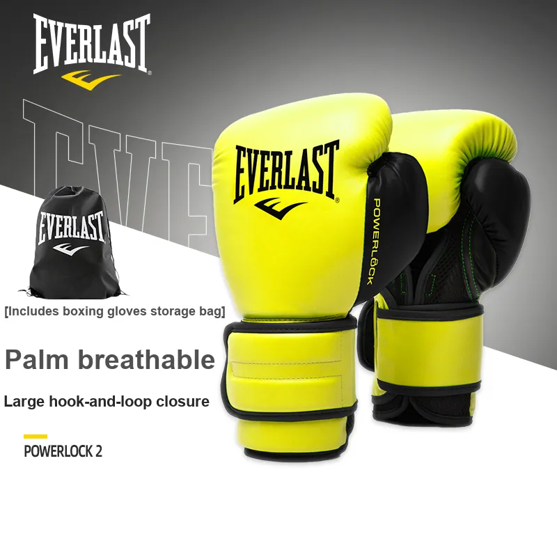 Everlast Boxing Gloves-12