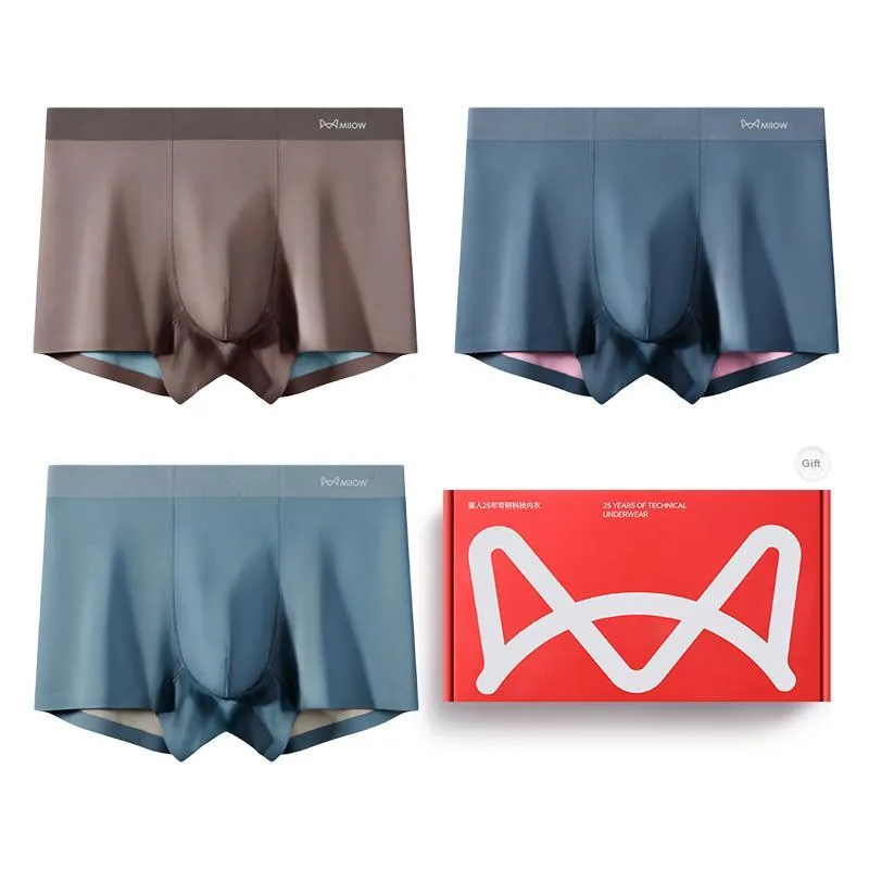 MIIOW Underwear Gift Box Men's Box 3 Pack-6