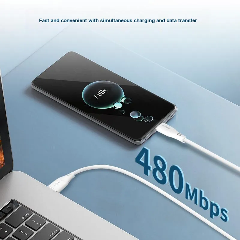 PHILIPS 1m A To Type C PD100W 6A Fast Charging Cable-6