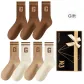 Dark Coffee 3, Light Coffee 2, Ecru 2 (7 Pack)
