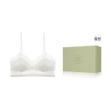 샴페인 화이트 [싱글 팩 브라]