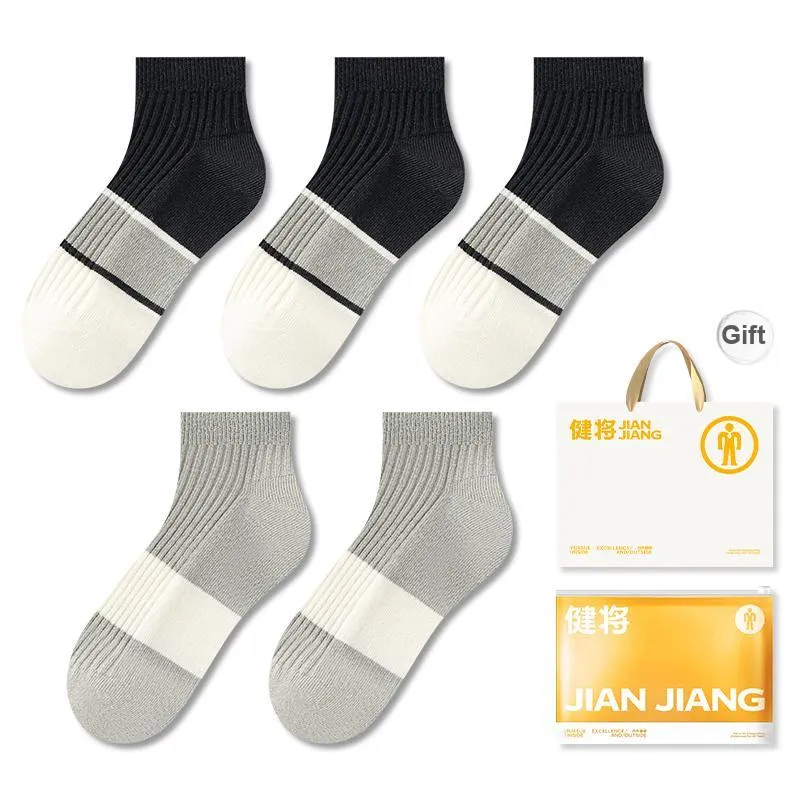 Master Mid Calf Socks Men's Box 5 Pack-20