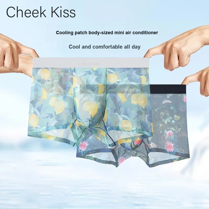 Cheekkiss Underpants Men's Box 3 Pack-1