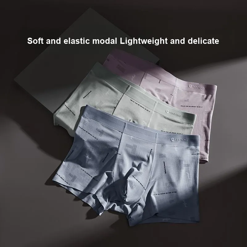 FENTENG Underpants Men's 3 Pack-1