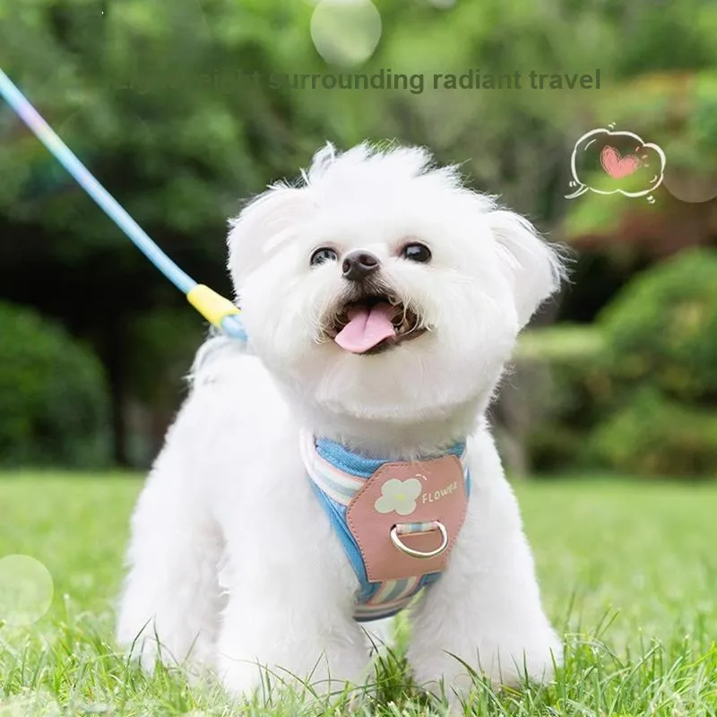 Hippie dogs Leashes-1