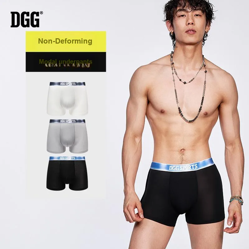 DGG Underpants Men's Box 3 Pack-2