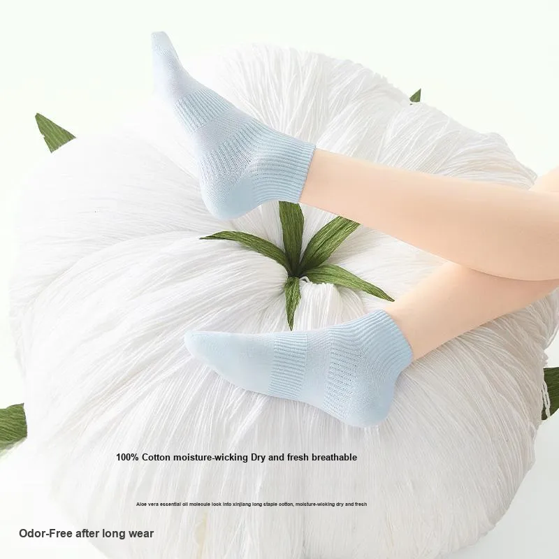 B&C.Room Ankle Socks Women's 5 Pack-5