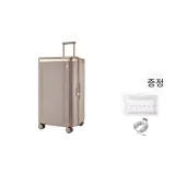과일 쉘 브라운 트렁크