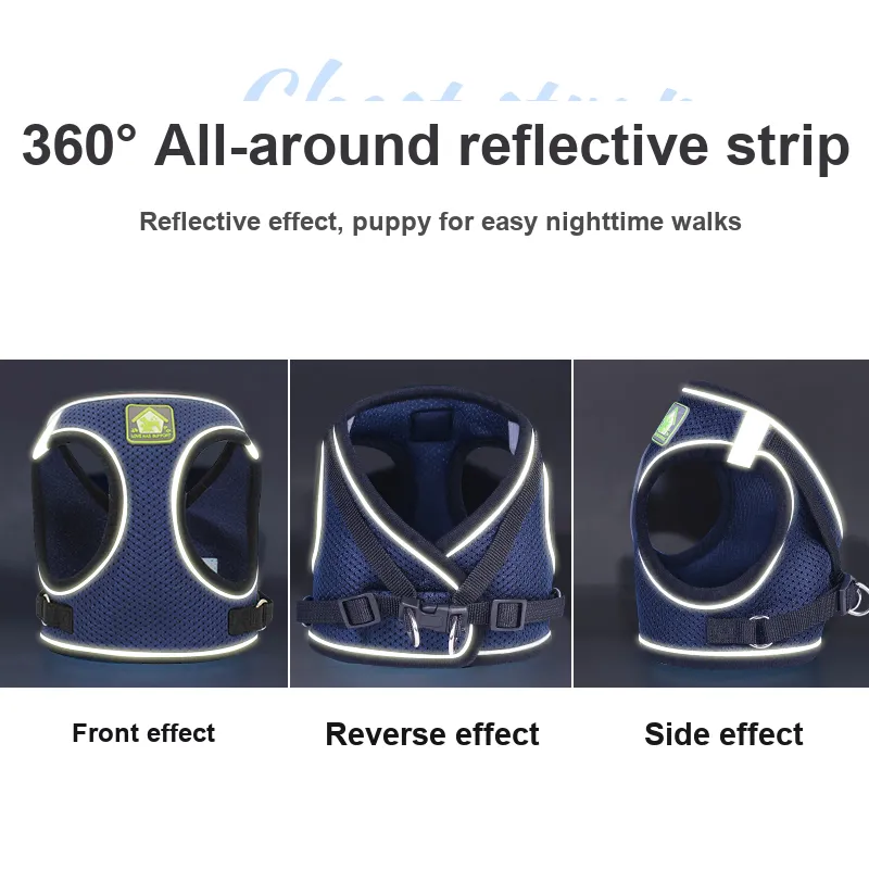 Pampering Leashes-24