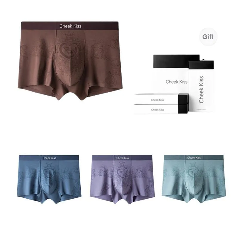 Cheekkiss Underwear Gift Boxes Men's 3 Pack-27