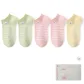 Small Grass Green+Small Grass Green+Ballet Pink+Ballet Pink+Custard