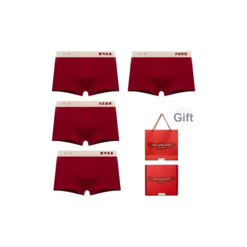 Maiden House Нижнее белье Подарочная коробка Мужской