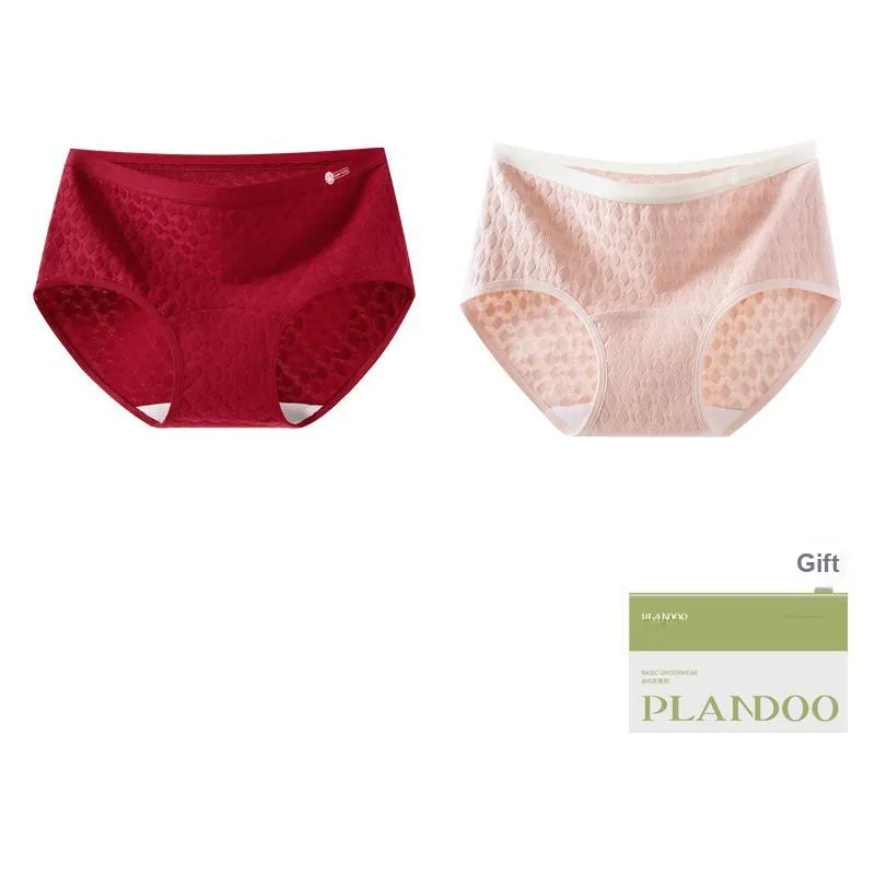 PLANDOO Underpants Women's Shopping Bag 2 Pack-15