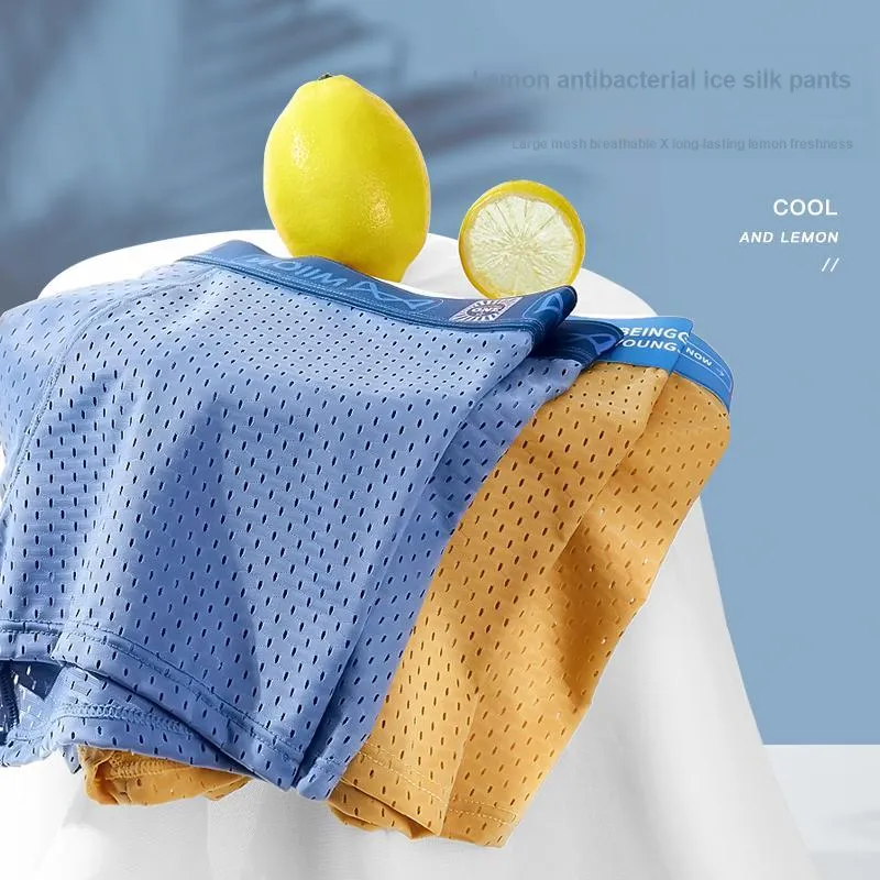 MIIOW Men Underpants-10
