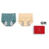 Gray Green-Light Apricot