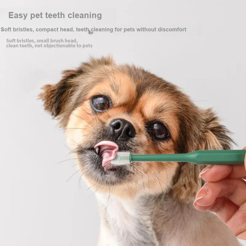 HISTOTREE Cat And Dog Toothpastes & Dental Tools-1