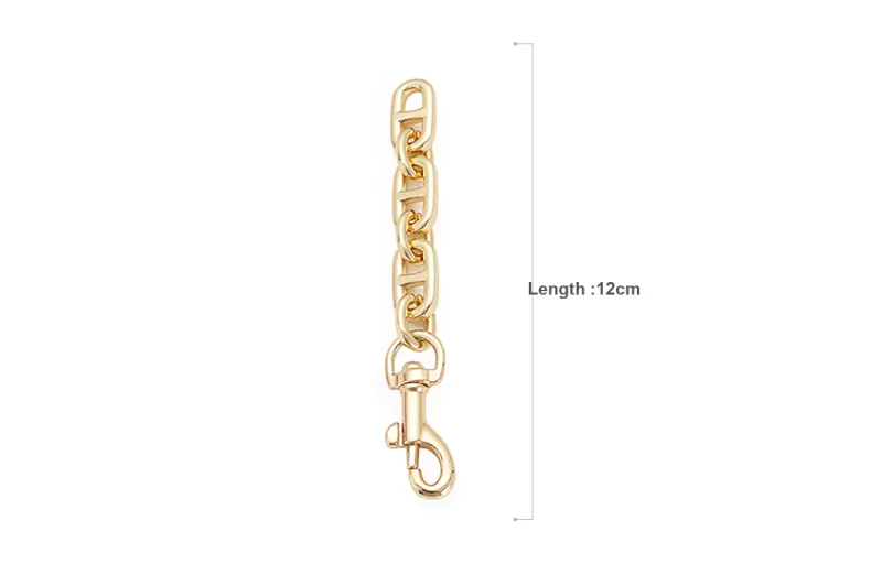 Lan Bao Fan Alloy Bag Strap Women's Gold Tone-8