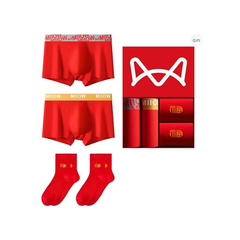 MIIOW Underwear Gift Box Men's 2 Pack+2 Pack Socks-5
