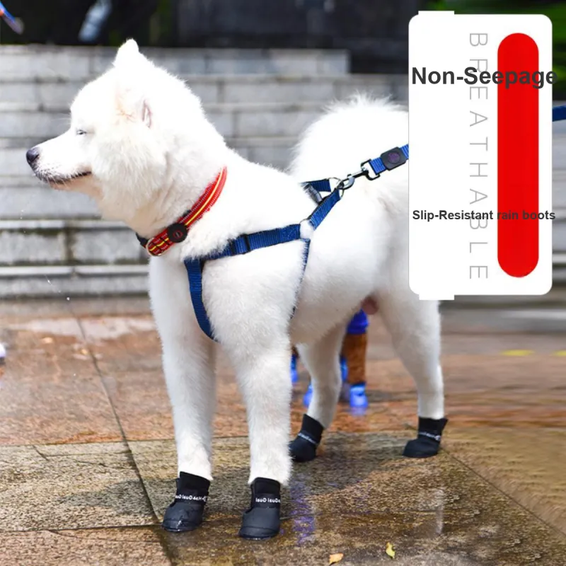 Kimpets Pet Clothing-1