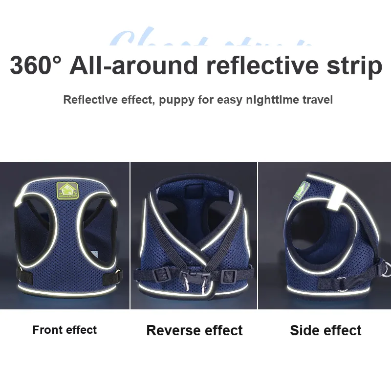 Pampering Leashes-17