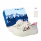 Pink Silver-Exclusive Shoe Box-Includes Socks