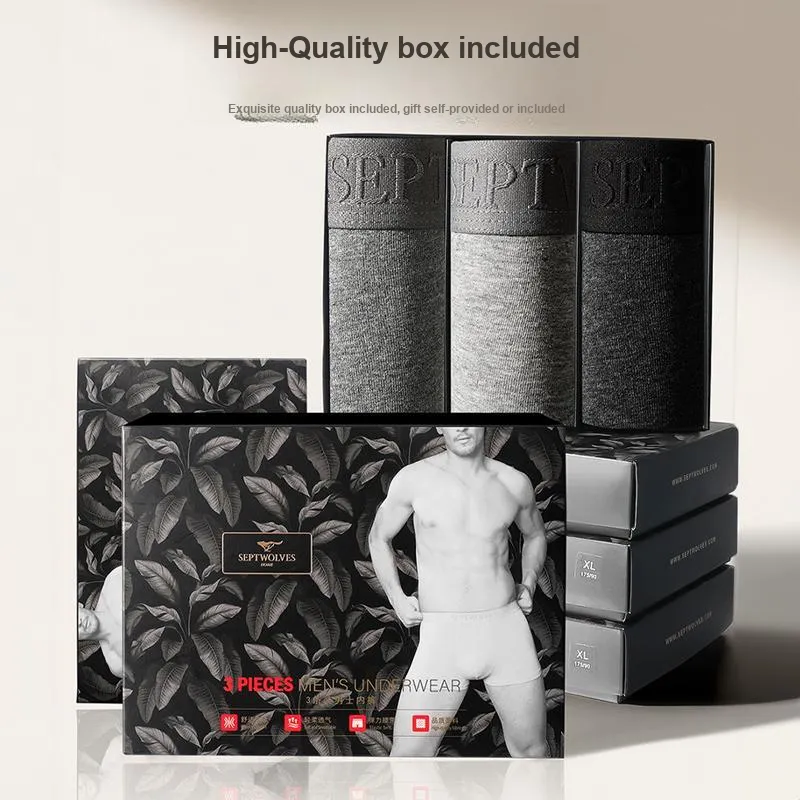 SEPTWOLVES Underwear Gift Box Men's-5