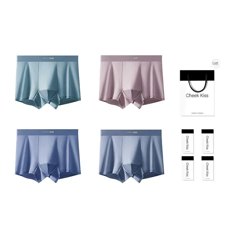 Cheekkiss Underpants Men's Gift Box Set Of 4-5