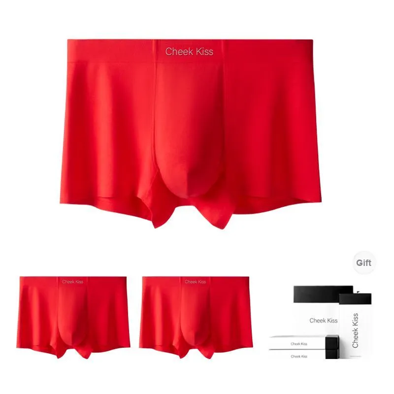 Cheekkiss Underwear Gift Boxes Men's 3 Pack-17