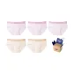 Floral Pink+Floral Pink+Floral Pink+Milk Skin+Milk Skin (Box of 5 Pcs)