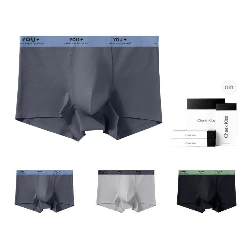 Cheekkiss Underpants Men's Box 4 Pack-3