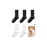5팩 세트 (화이트+화이트+블랙+블랙+블랙)