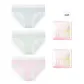 3 Pack (Lime Green+Rose Pink+Ice Blue)