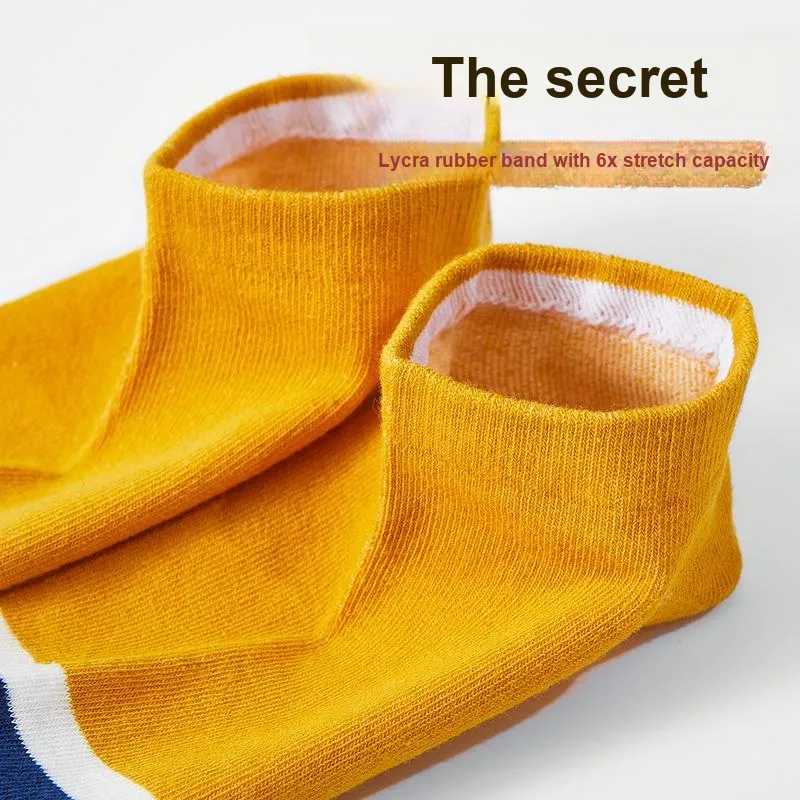 Lanza Men Socks-25