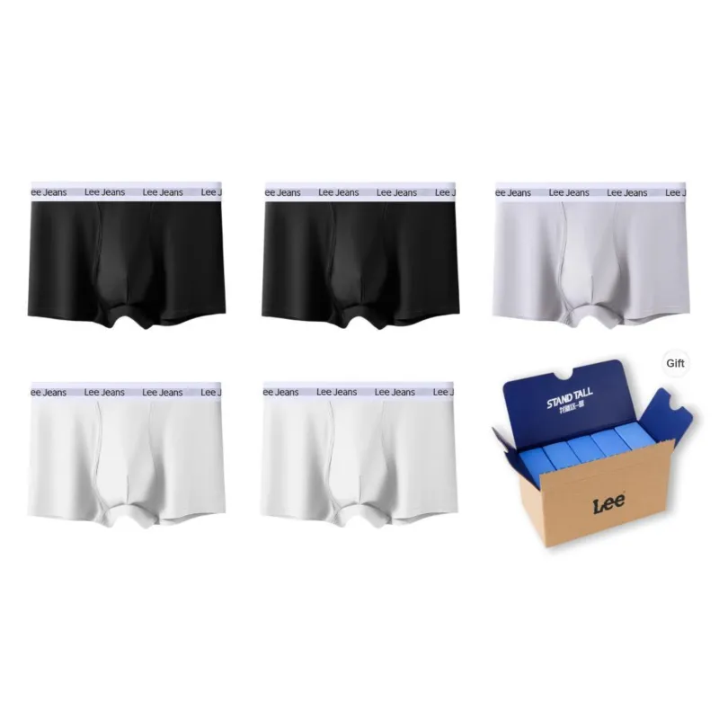Lee Underpants Men's 5 Pack Gift Box Set-5