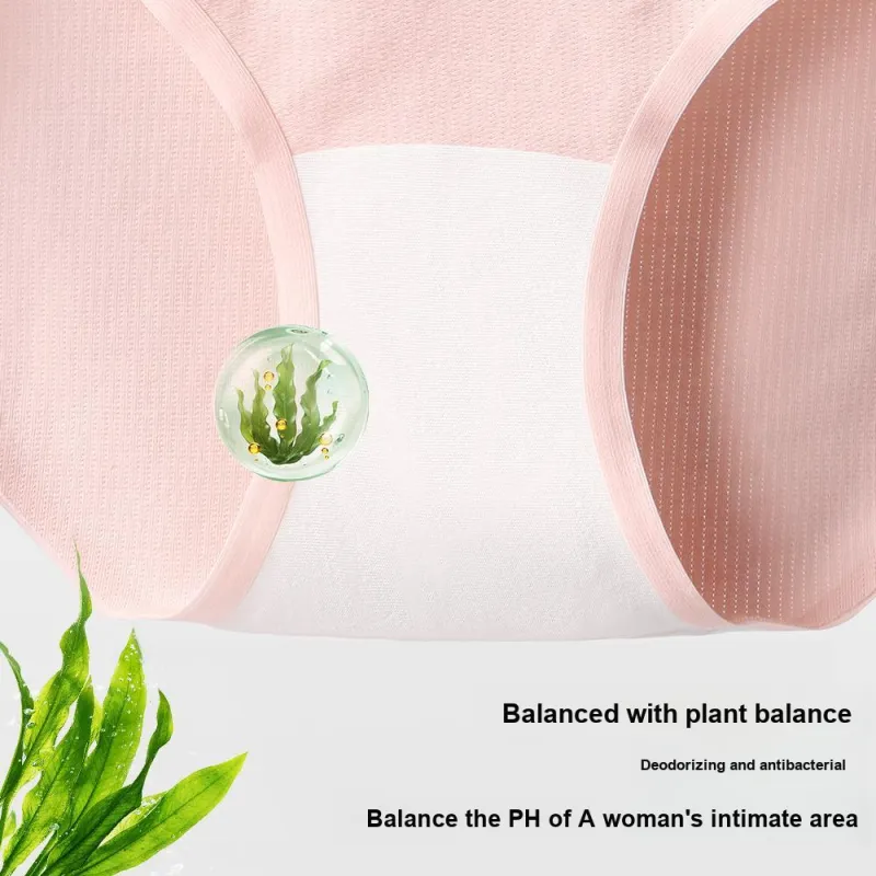 Lee Women's Underpants-3