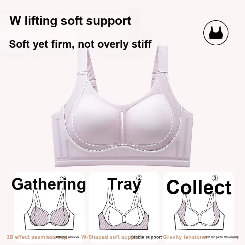 David Women's Bras-17