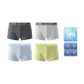 Dark Gray+Light Gray+Fruit Green+Light Blue (Box 4 Pack)