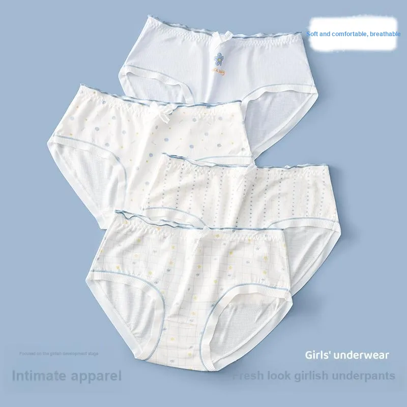 Pretty Lady Underpants Women's 4 Pack-1