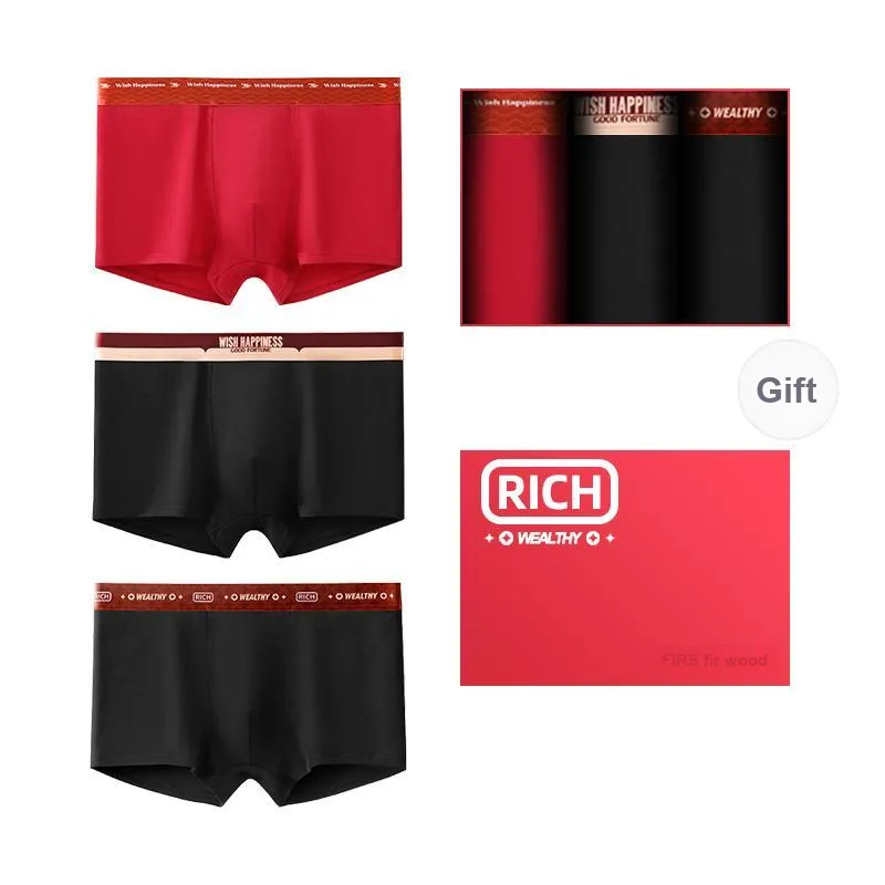 FIRS Men Underpants-20