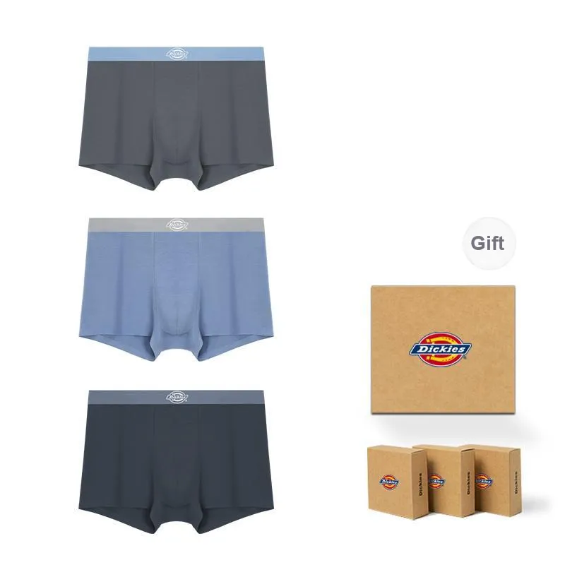 Dickies Underpants Men's Box 3 Pack-48