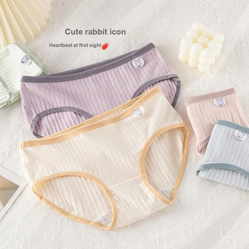 Cotton Gene Underpants Women's Combo Set-4