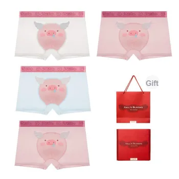 Maiden House Underwear Gift Box Men's 4 Pack