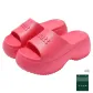 Raspberry Pink
