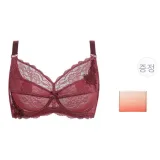 초얇은 C-E 컵 레드