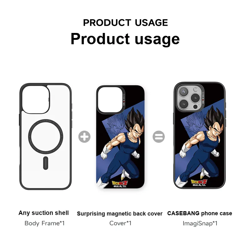 CASEBANG Phone Cases-5
