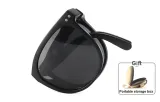 Frosted Black | Polarized Gray-C01