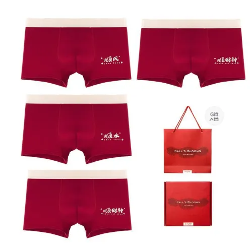 Maiden House Underwear Gift Box Men's Box 4 Pack